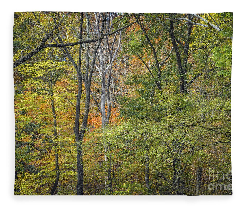 Autumn Fleece Blanket featuring the photograph Autumn Tapestry by Tamara Becker