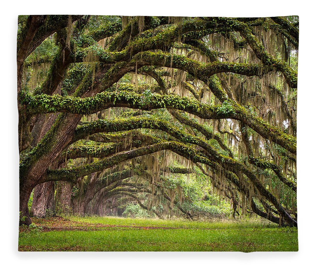 #faatoppicks Fleece Blanket featuring the photograph Avenue of Oaks - Charleston SC Plantation Live Oak Trees Forest Landscape by Dave Allen