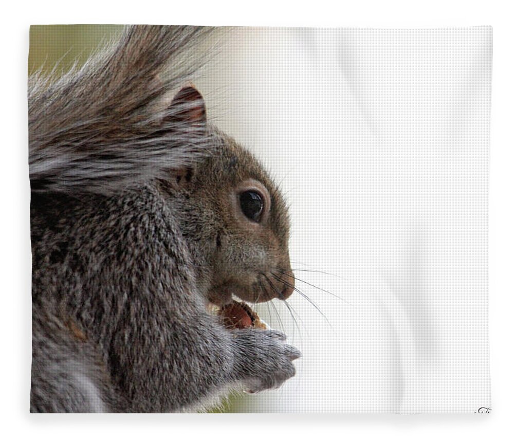 Squirrels Fleece Blanket featuring the photograph Baby Squirrel Portrait by Trina Ansel