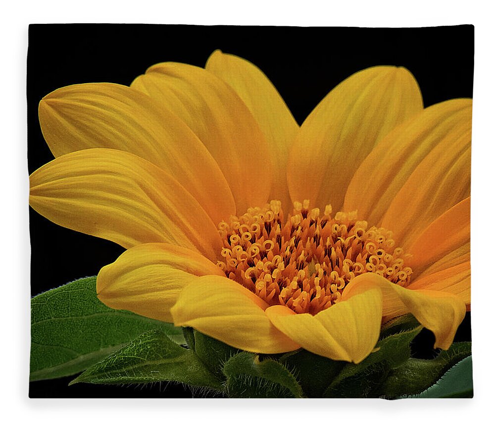 Sunflower Print Fleece Blanket featuring the photograph Baby Sunflower by Gwen Gibson