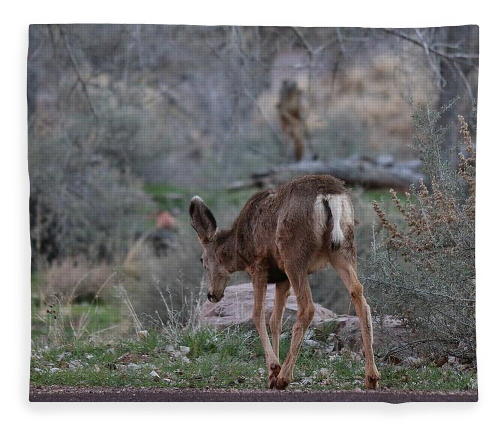 Deer Fleece Blanket featuring the photograph Back into the Woods - 2 by Christy Pooschke