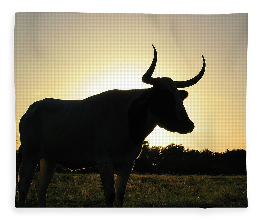 Backlit Fleece Blanket featuring the photograph Backlit Longhorn by Ted Keller