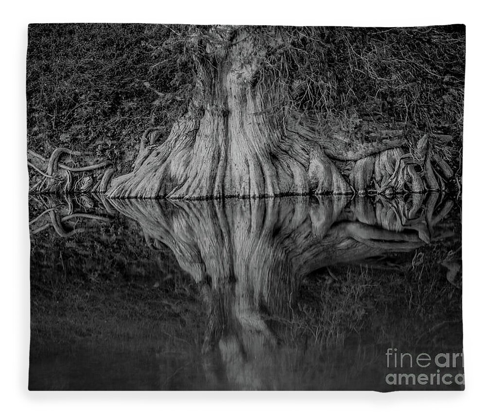 Bald Cypress Reflection In Black And White Michael Tidwell Guadalupe River Mike Tidwell Fleece Blanket featuring the photograph Bald Cypress Reflection in Black and White by Michael Tidwell