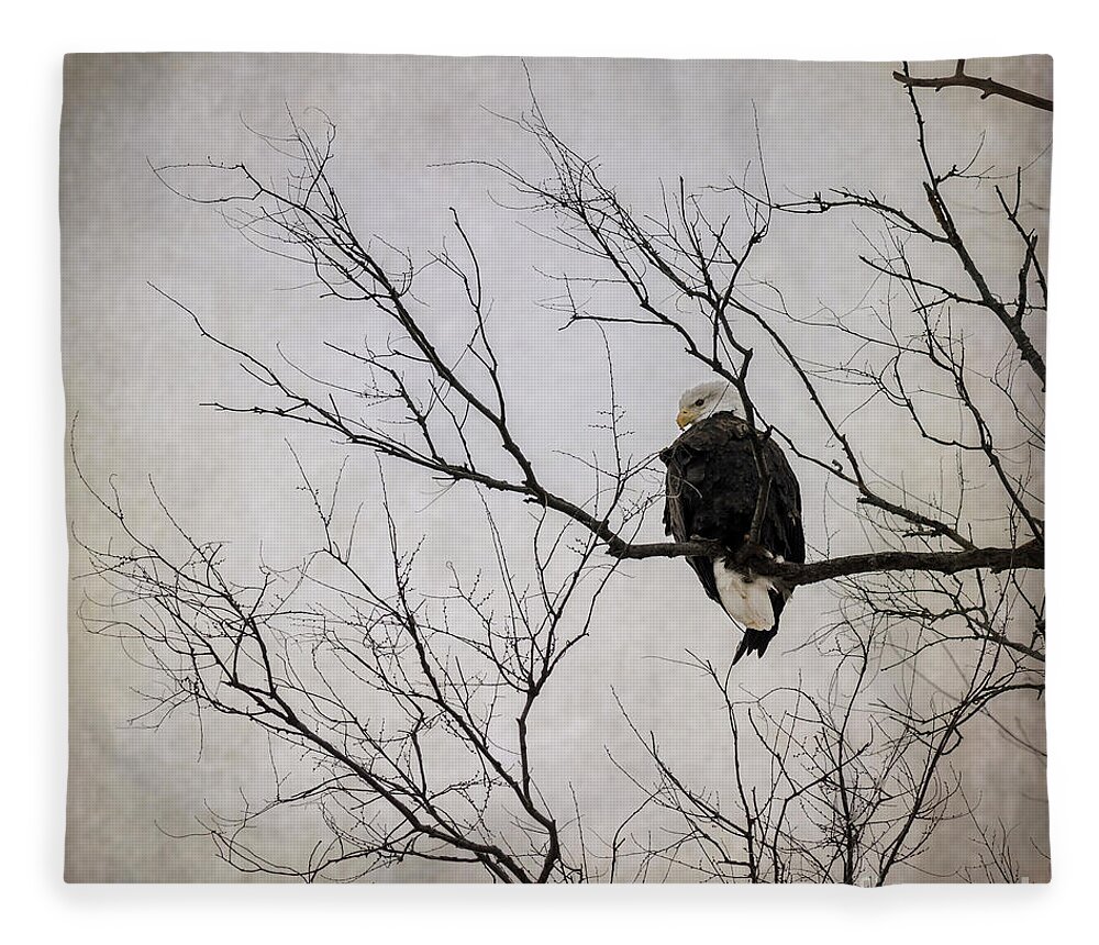 Bald Eagle Fleece Blanket featuring the photograph Bald Eagle by Tamara Becker