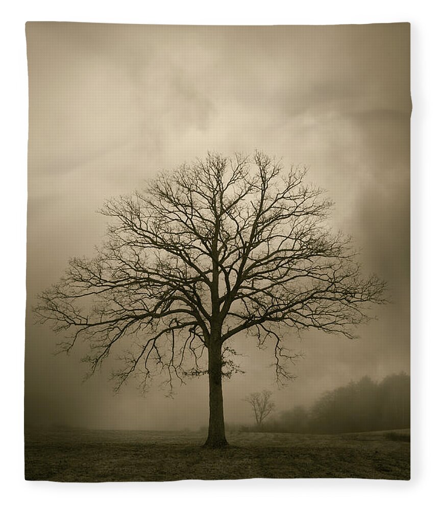 Tree Fleece Blanket featuring the photograph Bare Tree And Clouds by David Gordon