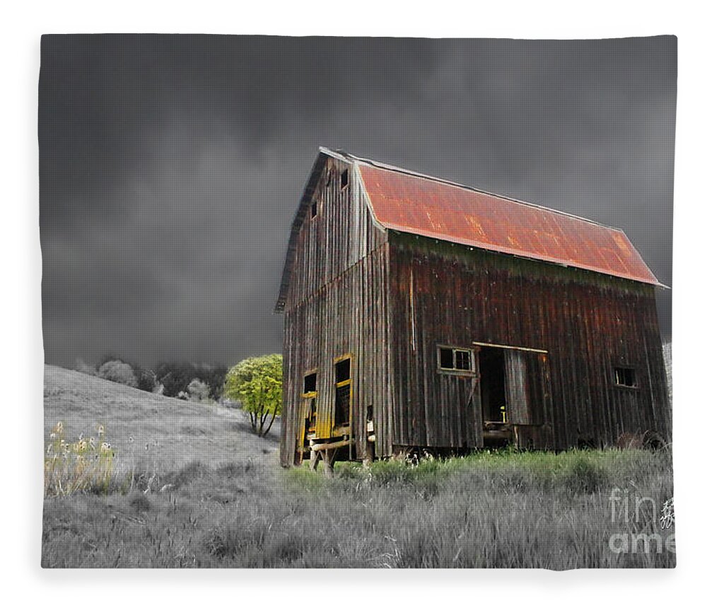 Old Barn Fleece Blanket featuring the photograph Barn Life by TK Goforth