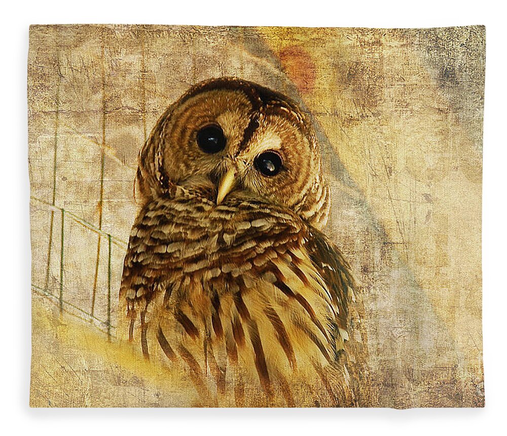 Owl Fleece Blanket featuring the photograph Barred Owl by Lois Bryan