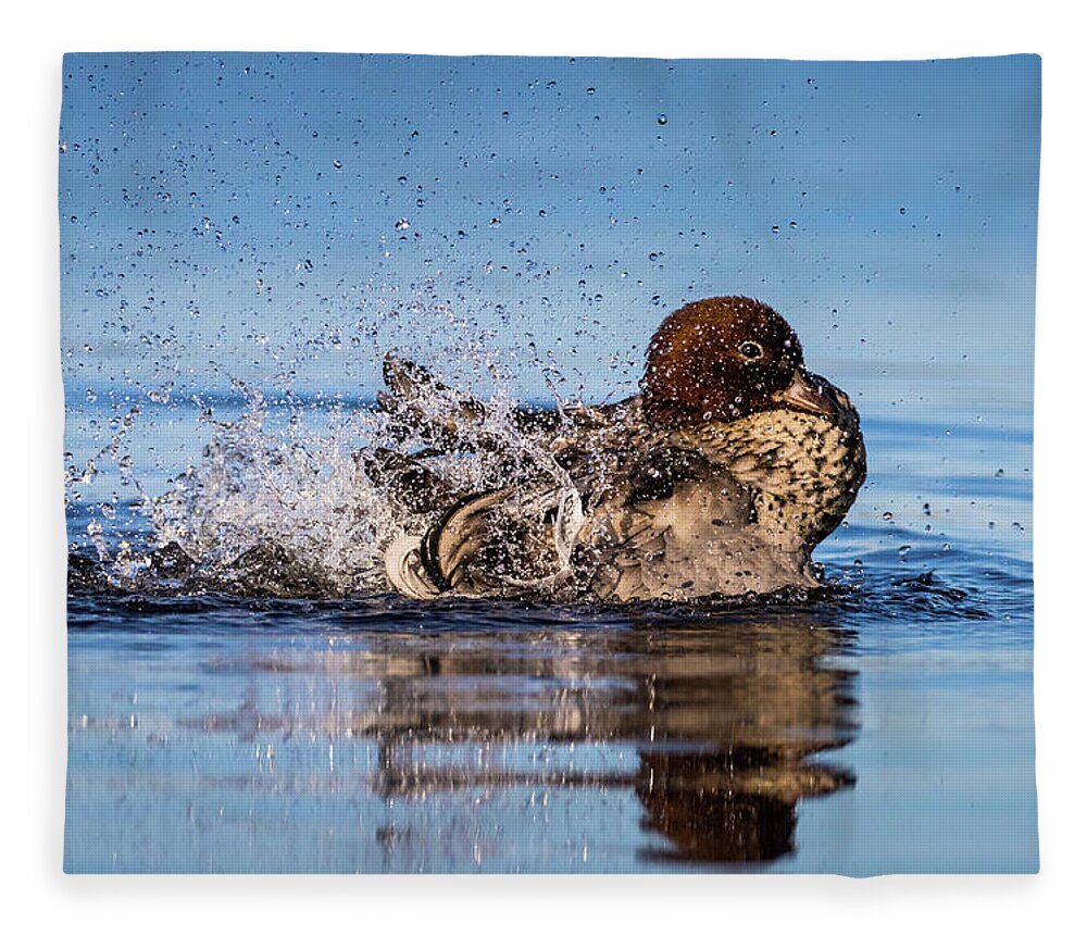 #duck #woodduck #lake #splash #blue Fleece Blanket featuring the photograph Bathtime by Diana Andersen