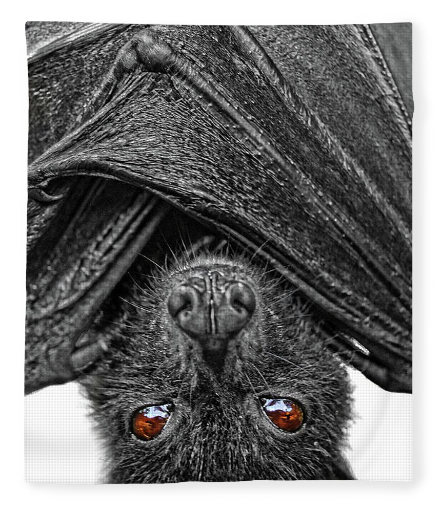 Bat Fleece Blanket featuring the photograph Be Afraid by Yhun Suarez