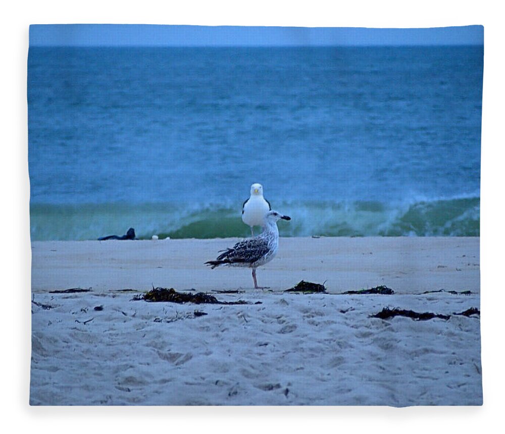 Shore Fleece Blanket featuring the photograph Beach Birds by Newwwman