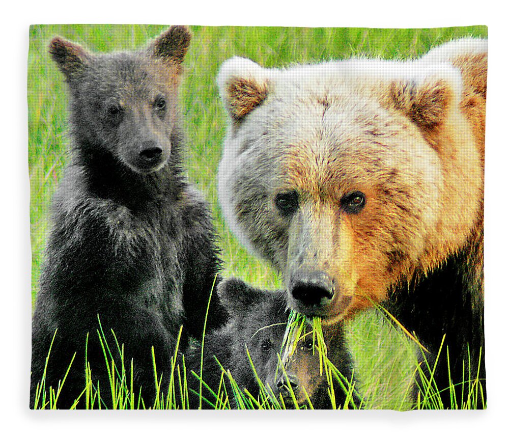 Grizzly Fleece Blanket featuring the photograph Bear Family Portraait by Ted Keller