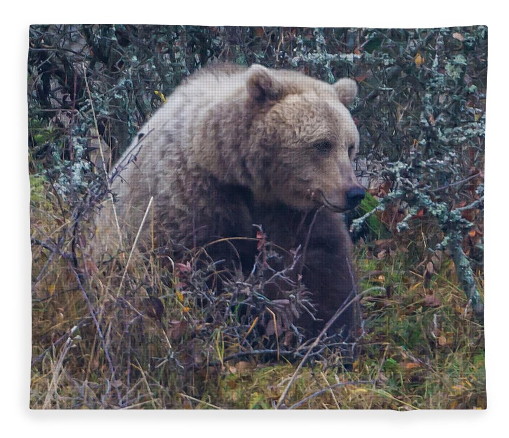 Bear Fleece Blanket featuring the photograph Bear square by Torbjorn Swenelius