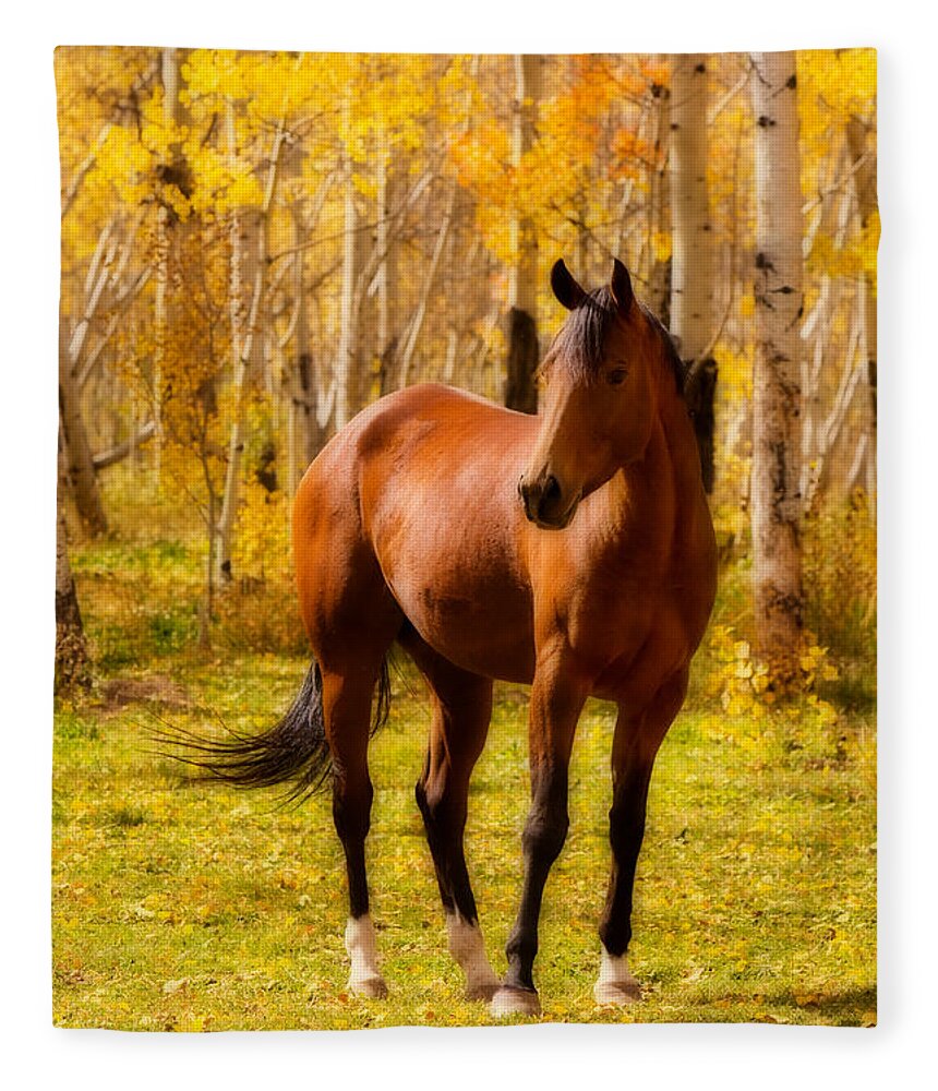 Horse Fleece Blanket featuring the photograph Beautiful Autumn Horse by James BO Insogna