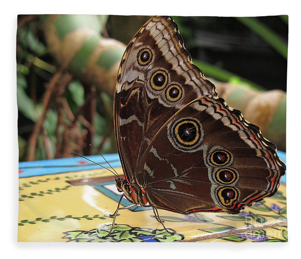Wall Art Fleece Blanket featuring the photograph Beautiful Buckeye Butterfly by Kelly Holm