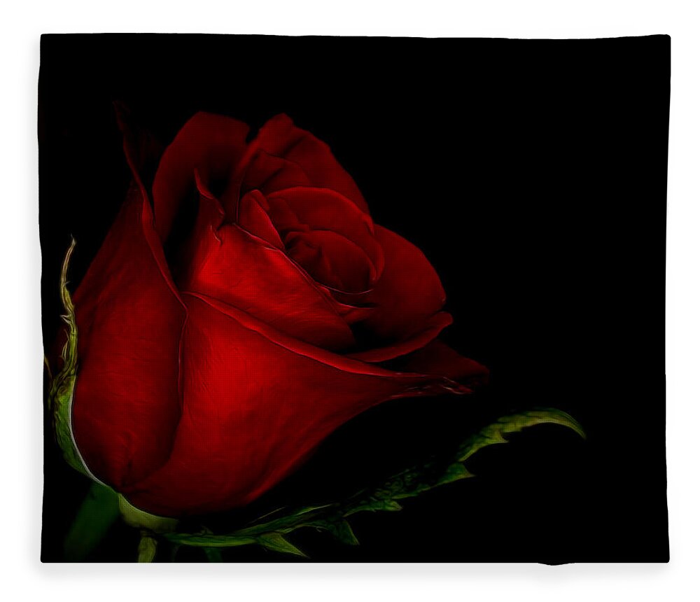 Rose Fleece Blanket featuring the digital art Beauty in Red by Ernest Echols