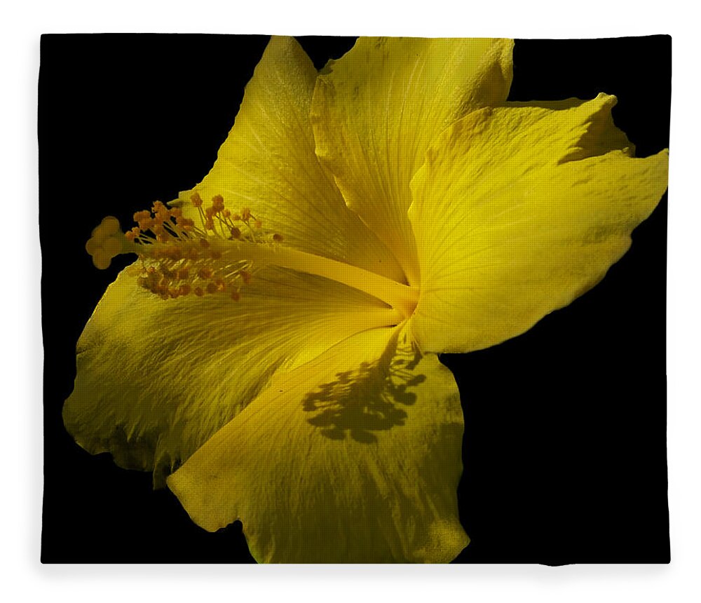 Yellow Flower Fleece Blanket featuring the photograph Beauty in Yellow by Maria Aduke Alabi