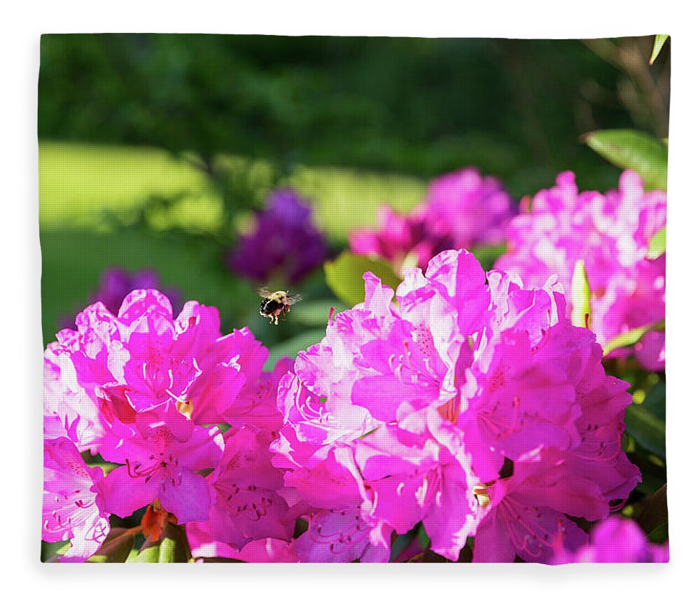 Bee Fleece Blanket featuring the photograph Bee Flying Over Catawba Rhododendron by D K Wall