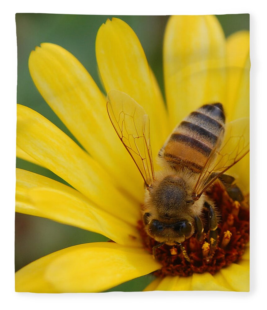Bee Fleece Blanket featuring the photograph Bee on flower by Amy Fose