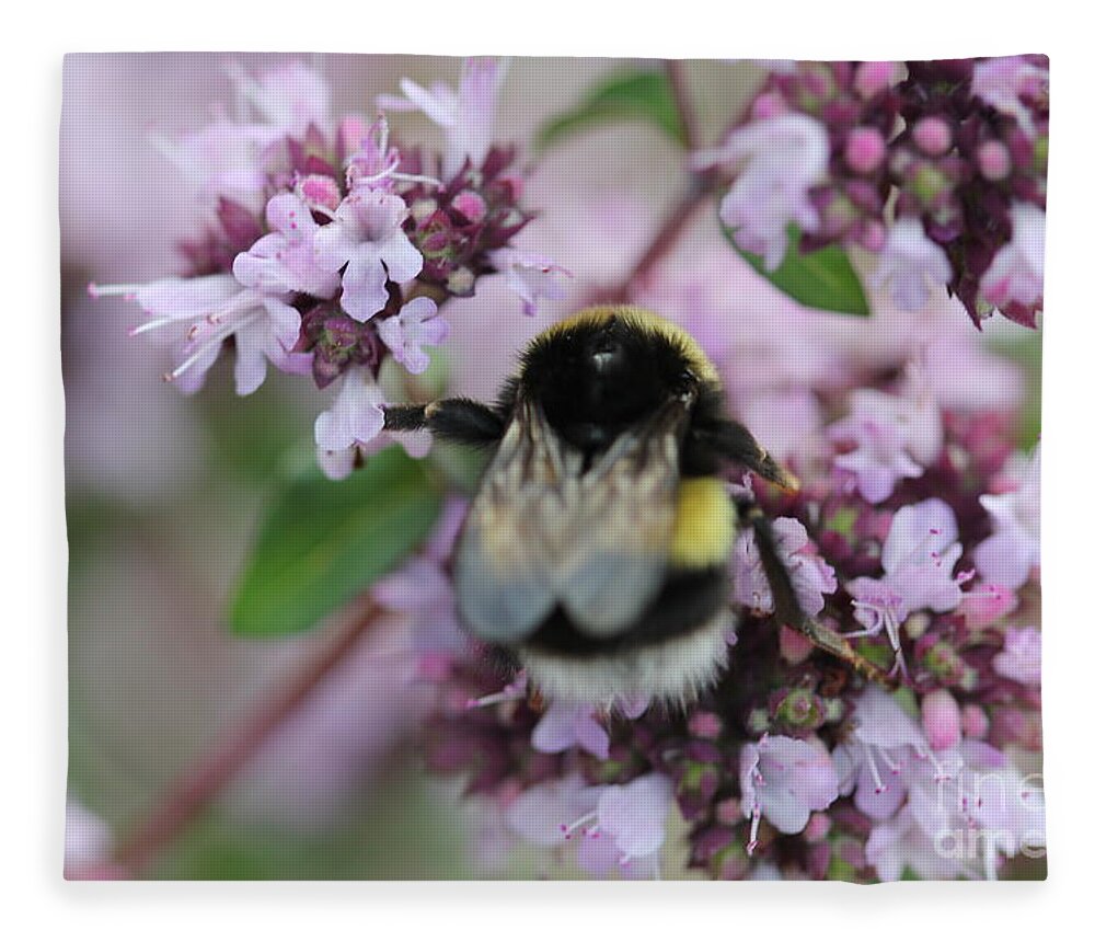Bee Fleece Blanket featuring the photograph Bee's Delicate Work by Donna L Munro