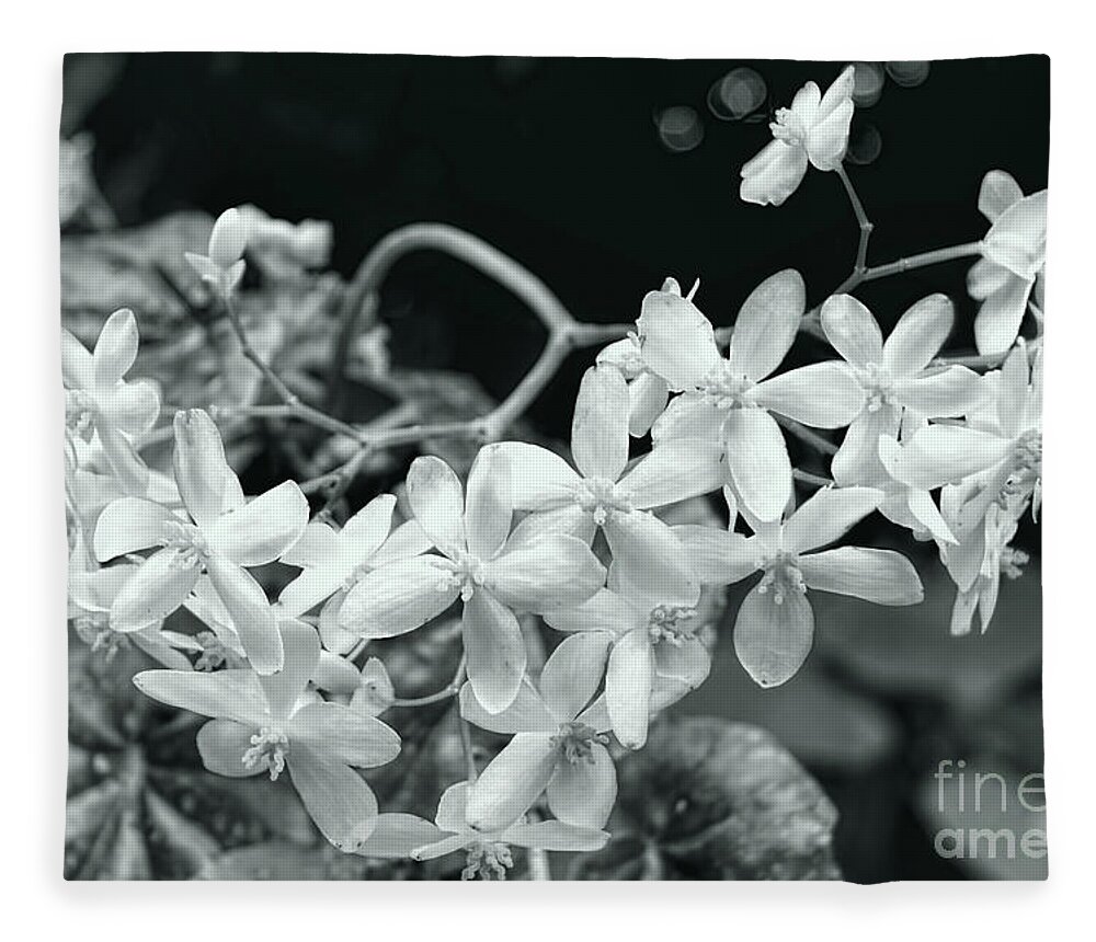Begonia Flowers Fleece Blanket featuring the photograph Begonia Flowers by Olga Hamilton