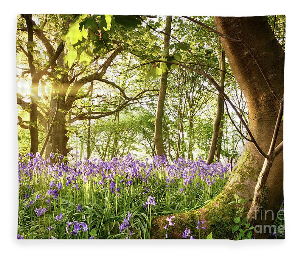 Forest Fleece Blanket featuring the photograph Bent tree in bluebell forest by Simon Bratt