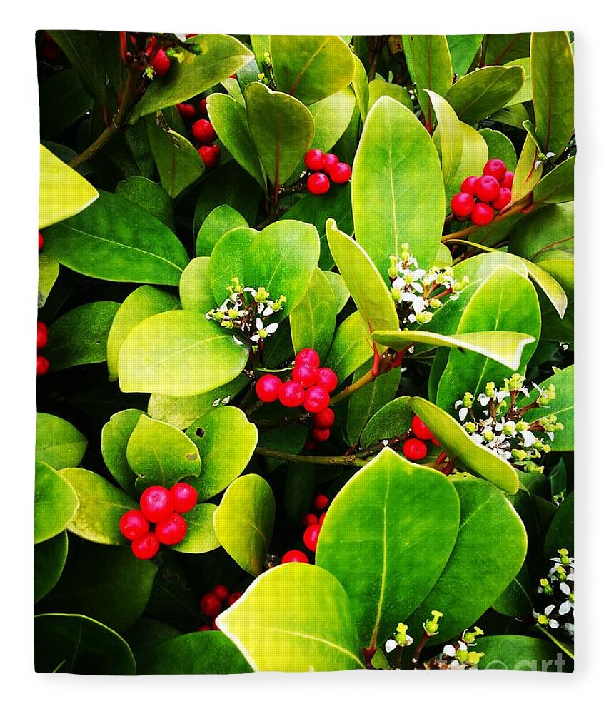  Fleece Blanket featuring the photograph Berries and blossom by Jarek Filipowicz