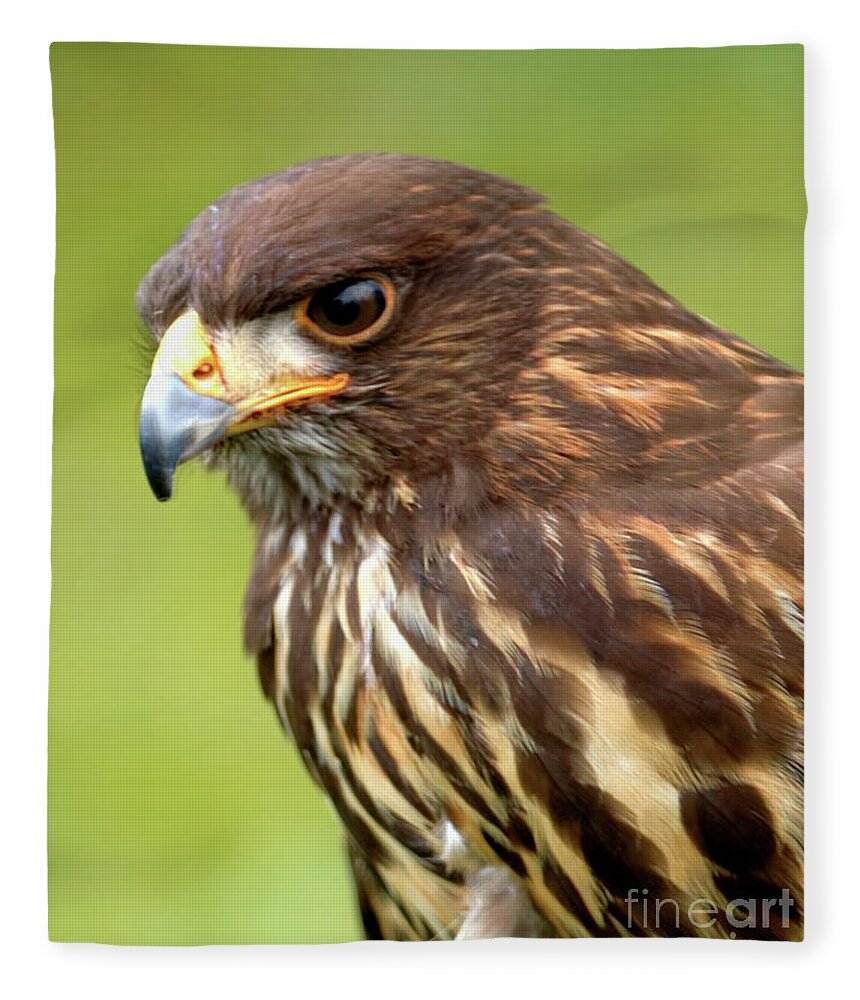 Bird Fleece Blanket featuring the photograph Beware The Predator by Stephen Melia