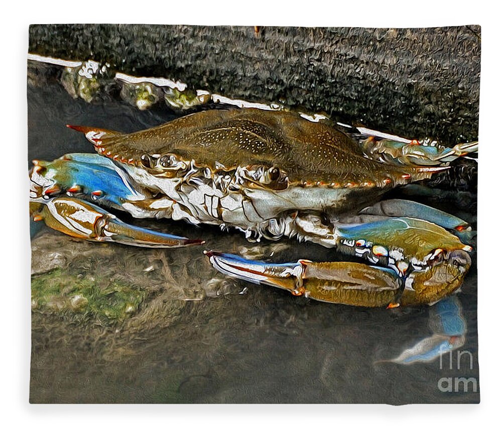 Crab Fleece Blanket featuring the photograph Big Blue by Kathy Baccari