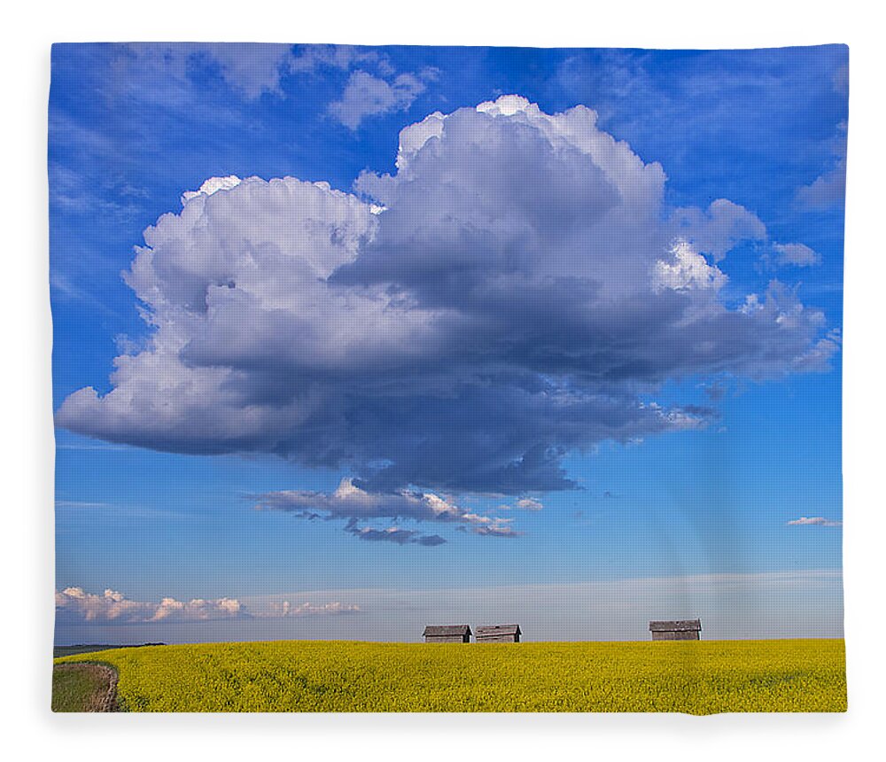 Canola Fleece Blanket featuring the photograph Big Clouds by Bill Cubitt