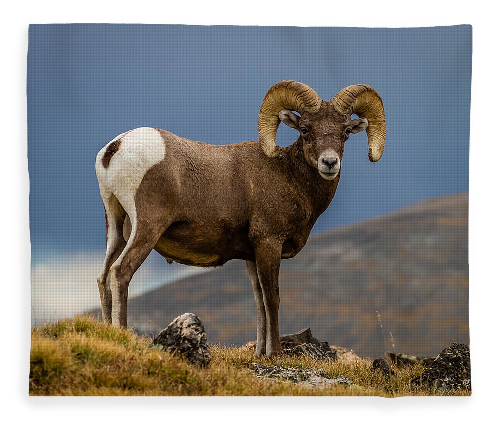 Tapestry Fleece Blanket featuring the photograph Big Horn by Gary Migues