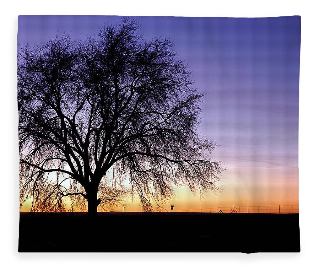 Morning Fleece Blanket featuring the photograph Big Sky - New Mexico by DArcy Evans