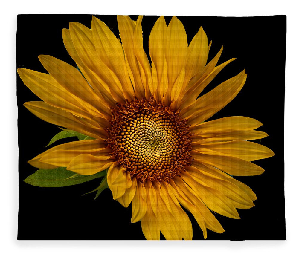 Art Fleece Blanket featuring the photograph Big Sunflower by Debra and Dave Vanderlaan