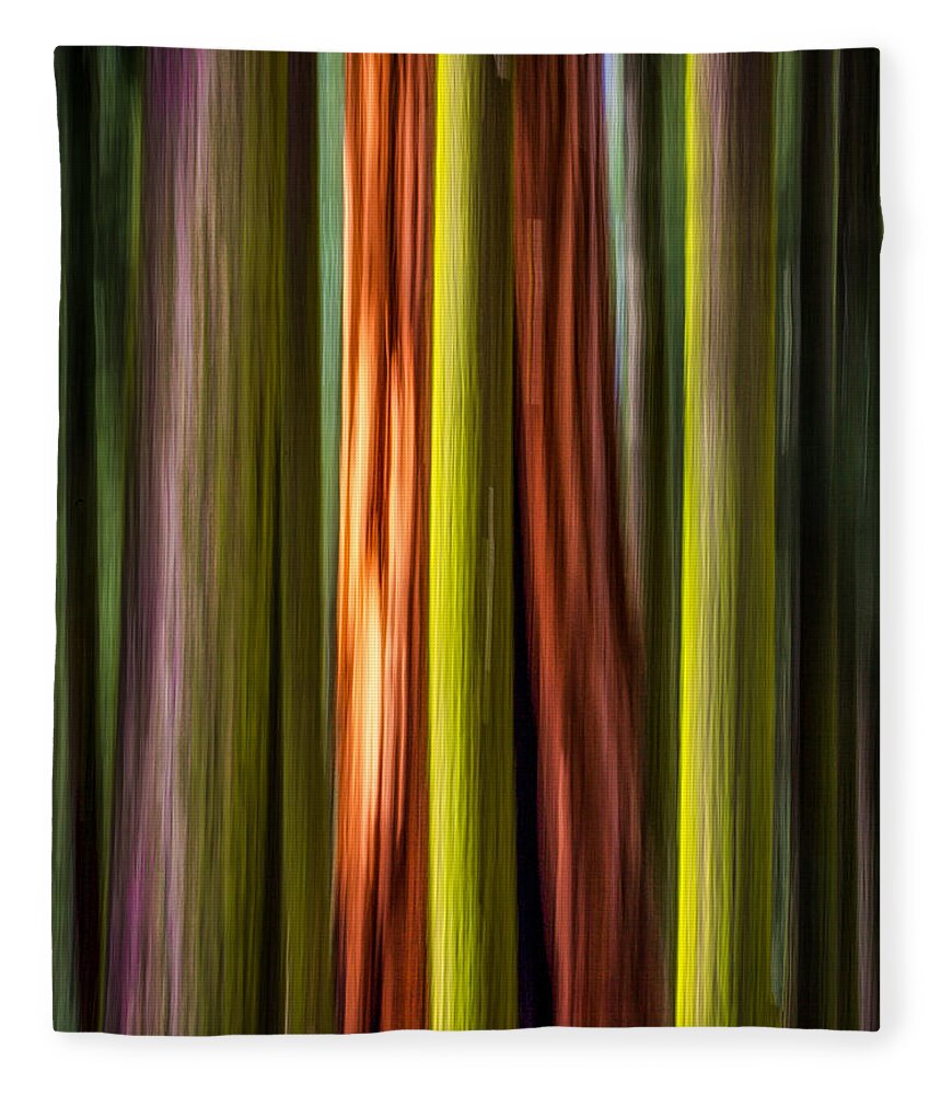 Plants Fleece Blanket featuring the photograph Big Trees Abstract by Rikk Flohr