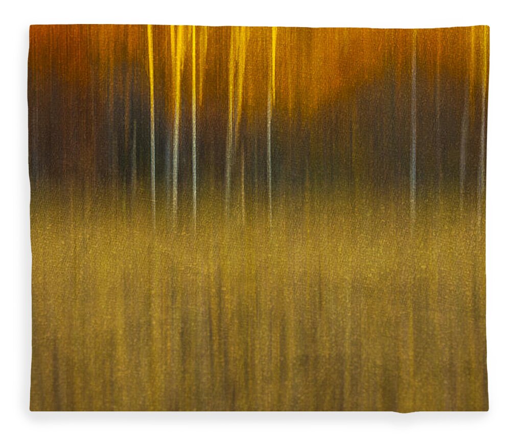 Abstract Fleece Blanket featuring the photograph Birch At The Edge Of The Field 2015 by Thomas Young