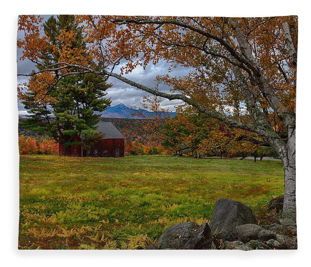 Chocorua Fall Colors Fleece Blanket featuring the photograph Birch over the mountains by Jeff Folger