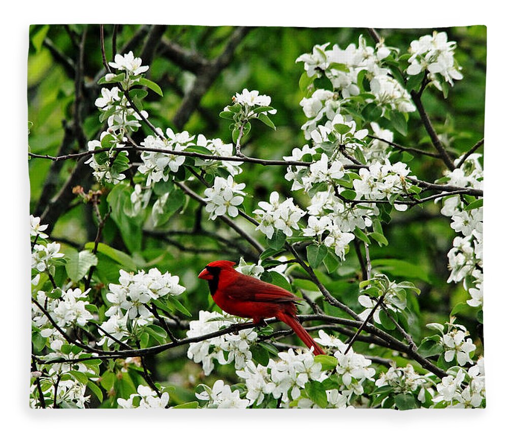Red Cardinal Fleece Blanket featuring the photograph Bird And Blossoms by Debbie Oppermann