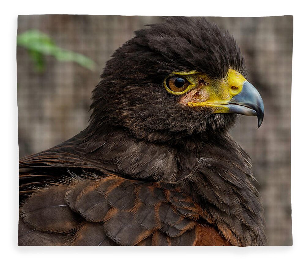 Young Bird Fleece Blanket featuring the photograph Bird of Prey by Wolfgang Stocker