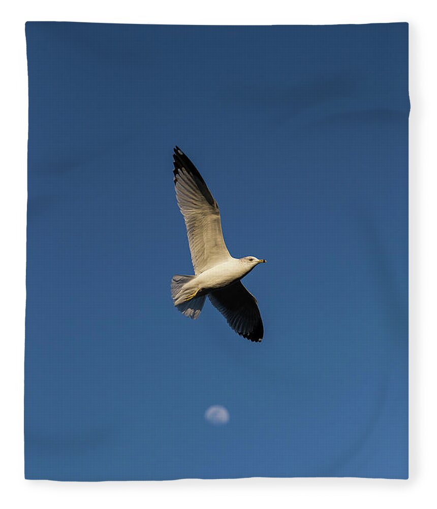 Bird Fleece Blanket featuring the photograph Bird Over The Moon by Jason Hughes