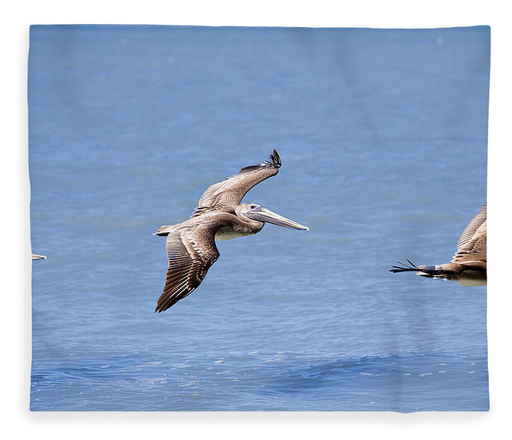 Birds Fleece Blanket featuring the photograph Birds 1039 by Michael Fryd