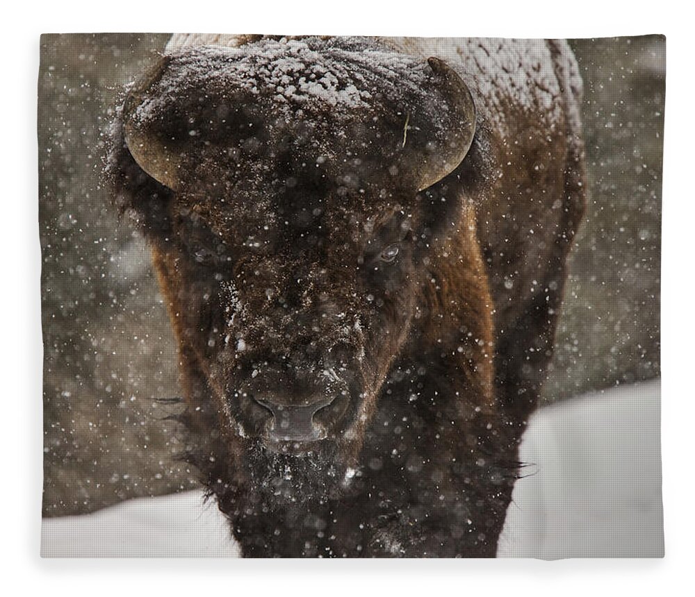 Wildlife Fleece Blanket featuring the digital art Bison Buffalo Wyoming Yellowstone by Mark Duffy