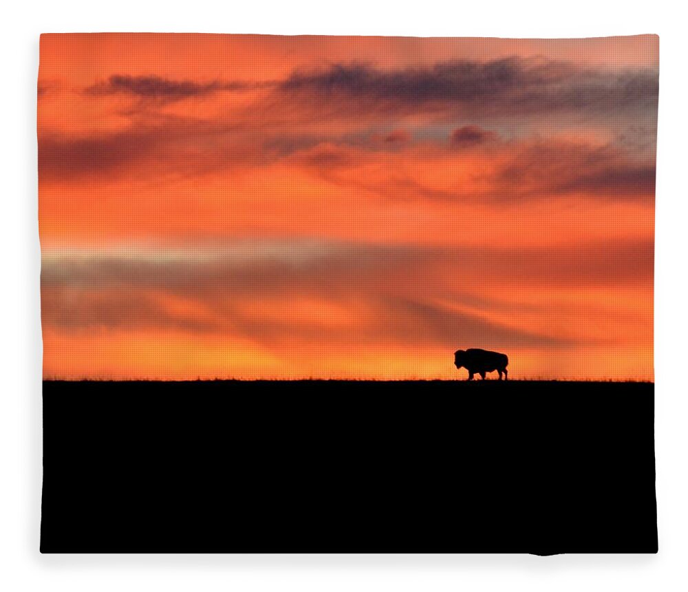  Fleece Blanket featuring the photograph Bison in the Morning Light by Keith Stokes