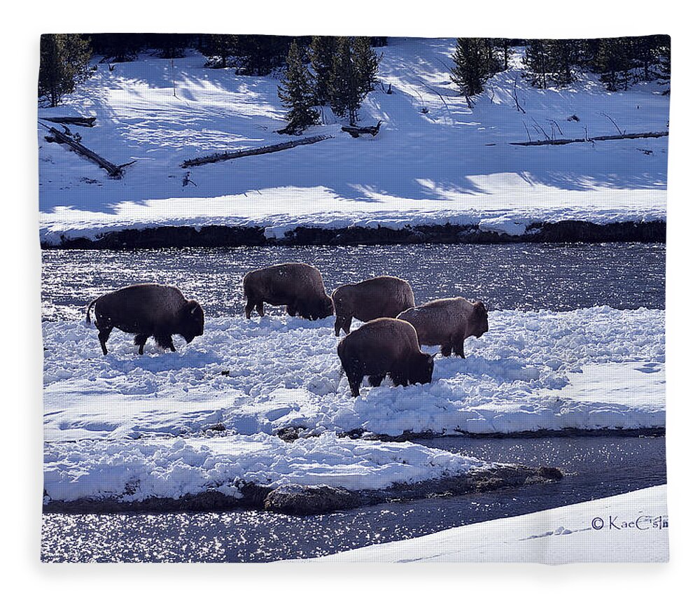 Bison Fleece Blanket featuring the photograph Bison on River Strand Landscape by Kae Cheatham