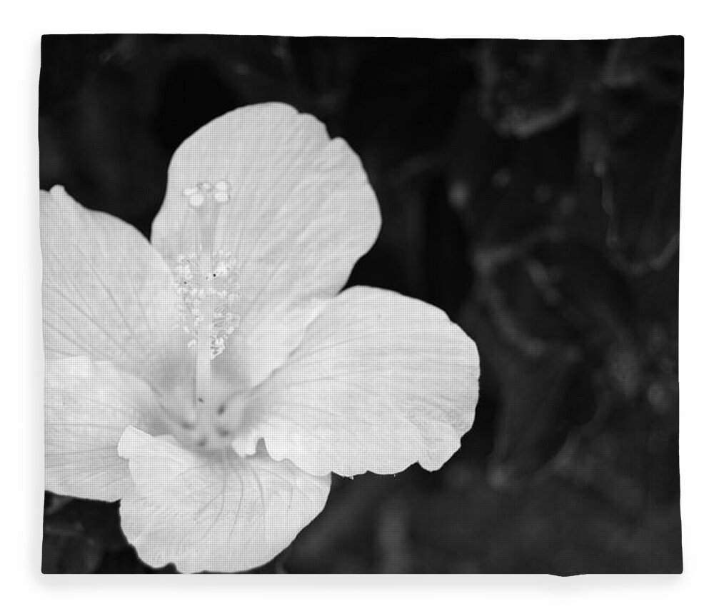 Flower Fleece Blanket featuring the photograph Black and White Hibiscus 3 by Amy Fose