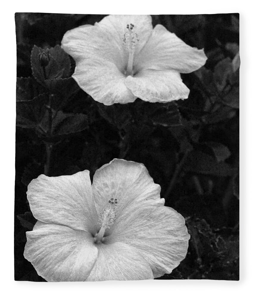 Flower Fleece Blanket featuring the photograph Black and White Hibiscus Duo by Amy Fose