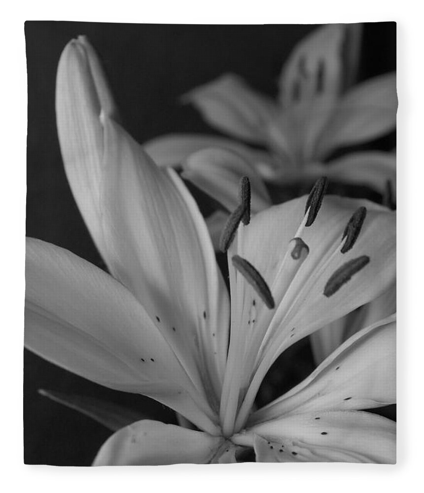 Flower Fleece Blanket featuring the photograph Black and White Lilies 2 by Amy Fose