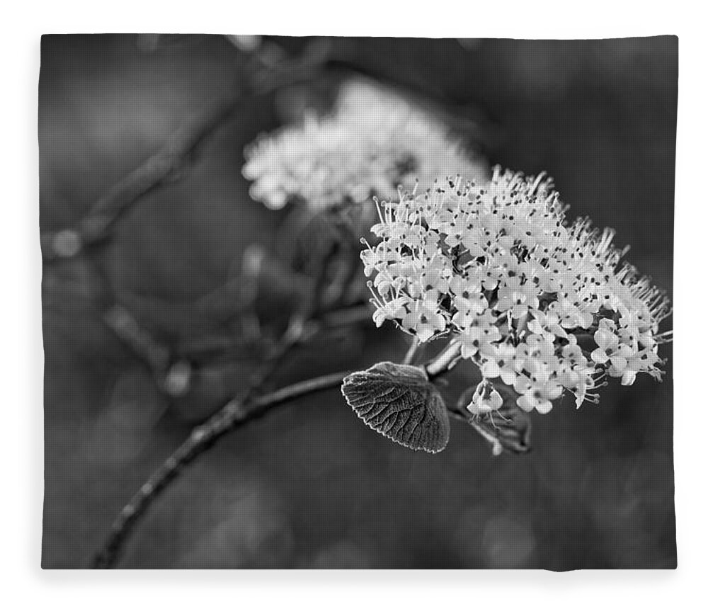 Miguel Fleece Blanket featuring the photograph Black and White by Miguel Winterpacht