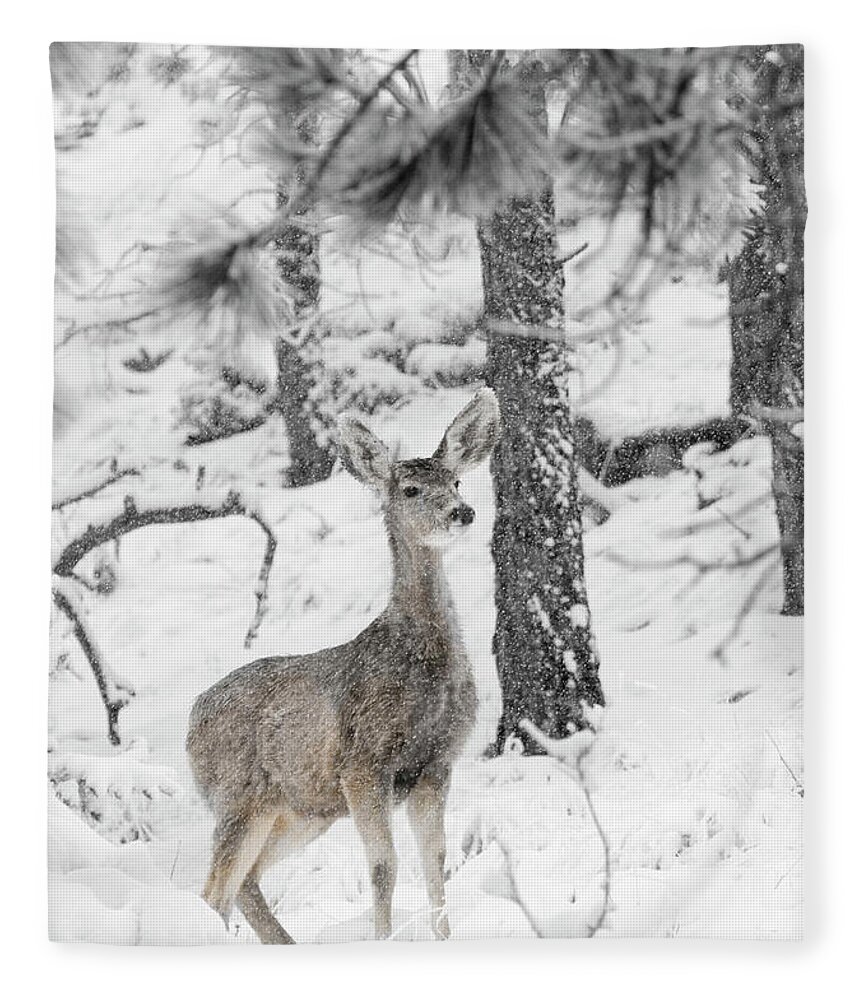 Animals Fleece Blanket featuring the photograph Black and White Mule Deer in Heavy Snowfall by Steven Krull