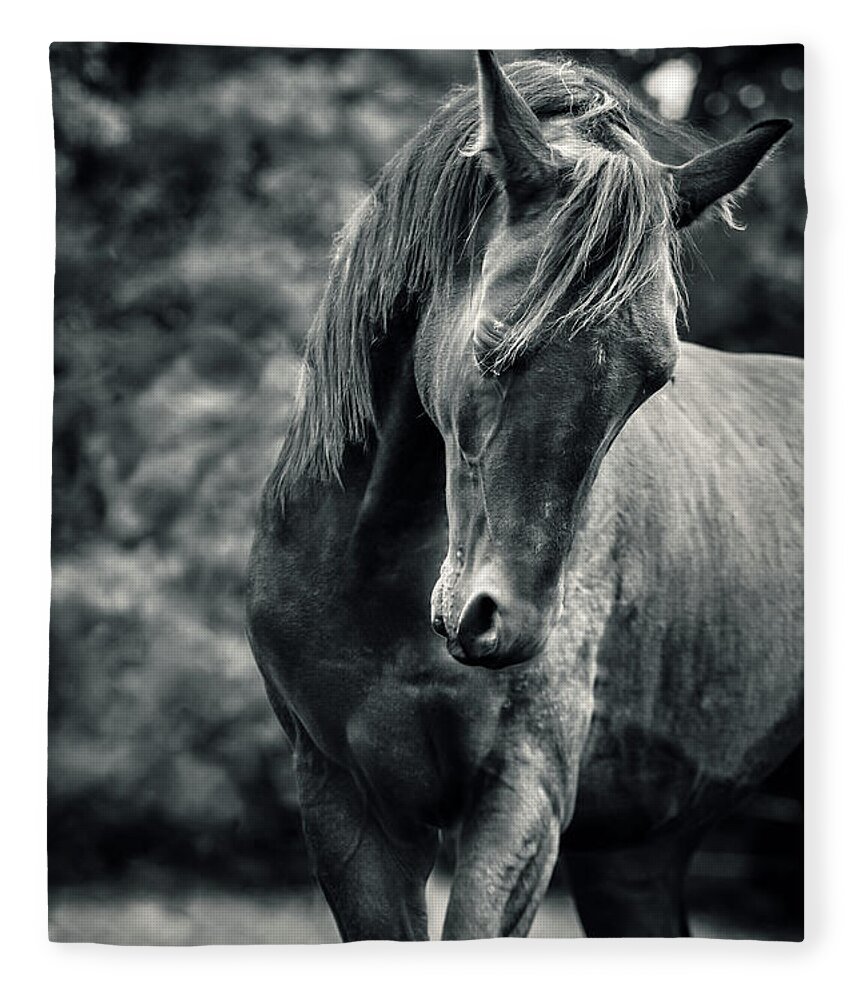 Horse Fleece Blanket featuring the photograph Black and white portrait of horse by Dimitar Hristov