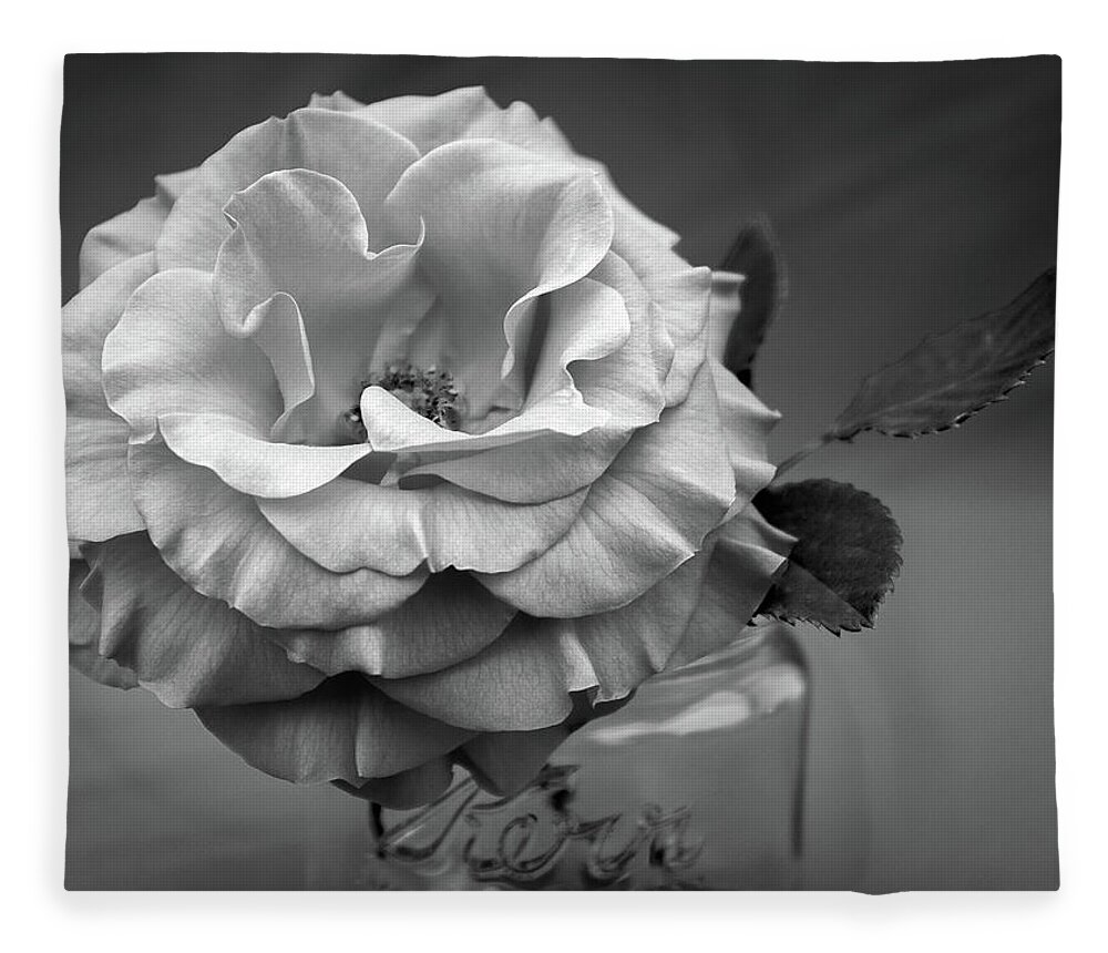 Rose Fleece Blanket featuring the photograph Black and White Rose Antique Mason Jar by Kathy Anselmo
