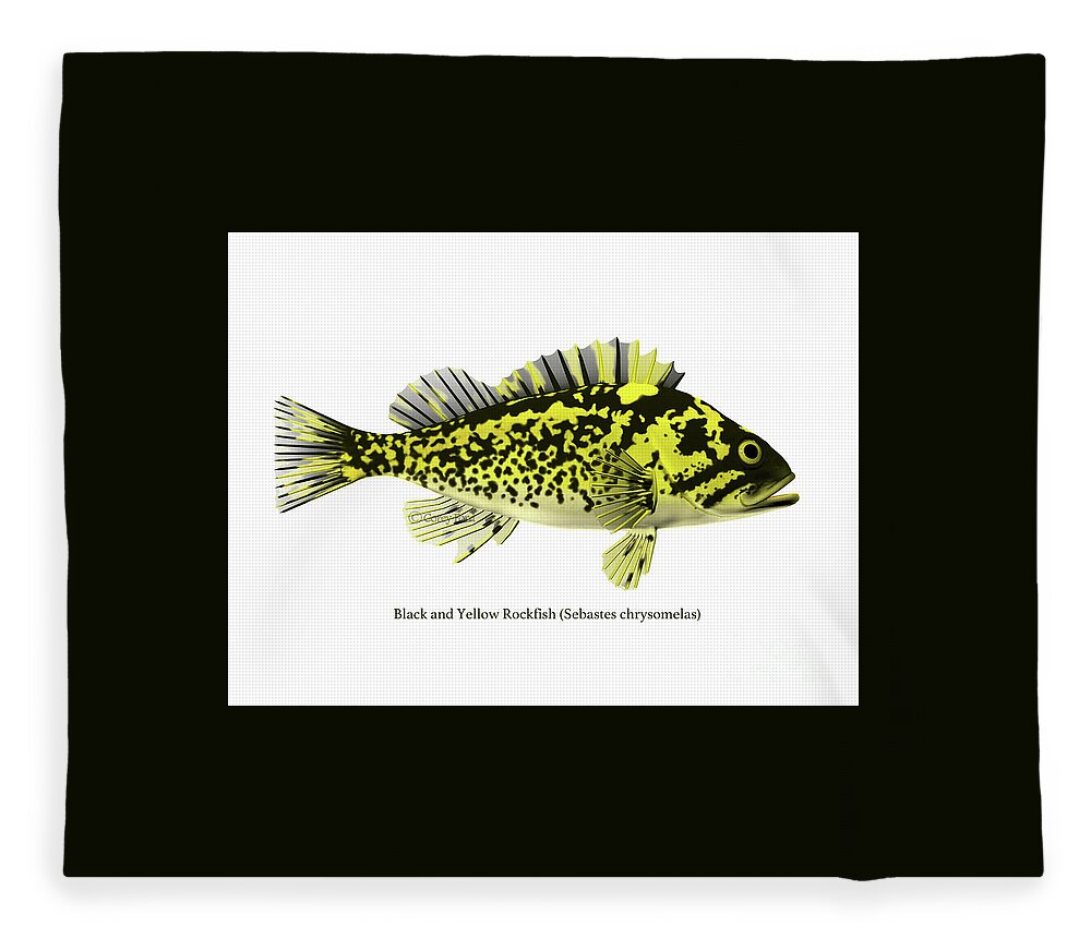 Black And Yellow Rockfish Fleece Blanket featuring the digital art Black and Yellow Rochfish by Corey Ford
